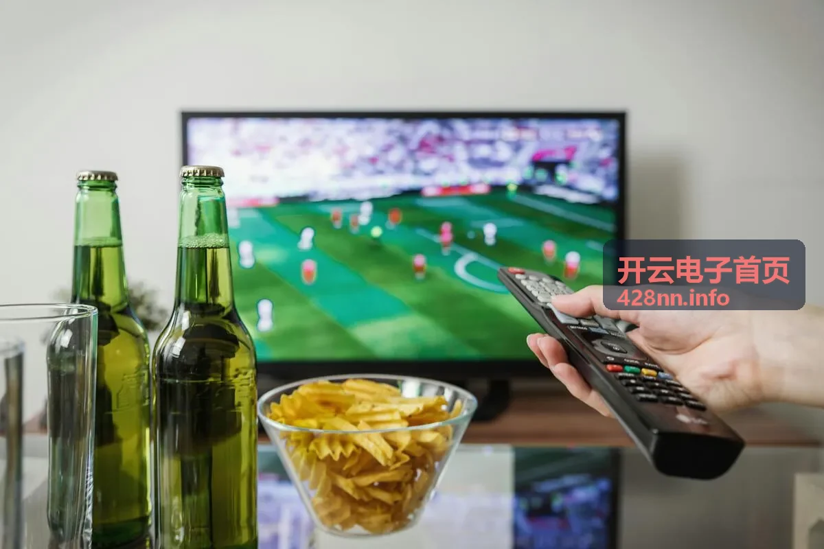 汽车电子服务,开云电子首页